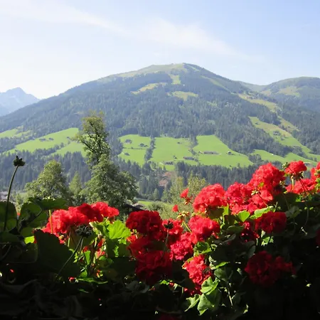 Alpbachblick Alpbach