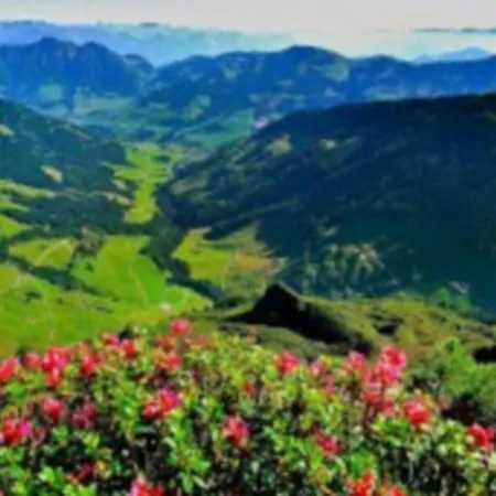 Alpbachblick Alpbach
