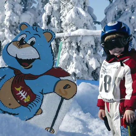 Lägenhet Alpbachblick *