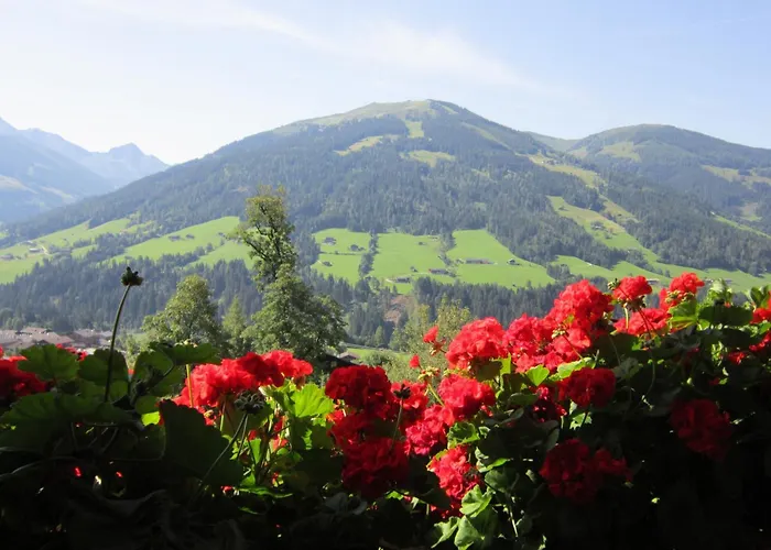 Alpbachblick Alpbach