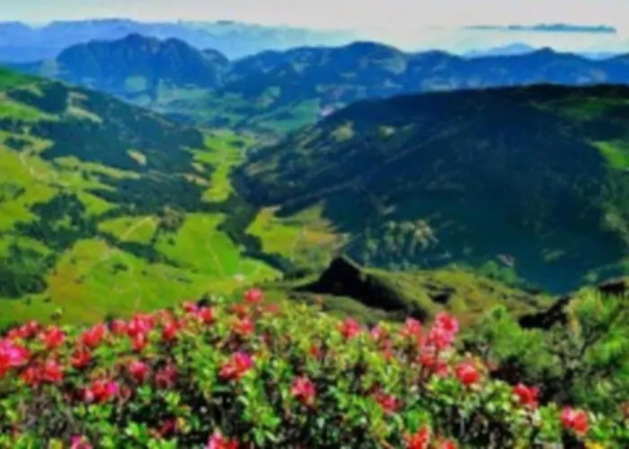 Alpbachblick Alpbach