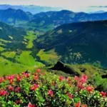 Alpbachblick Alpbach