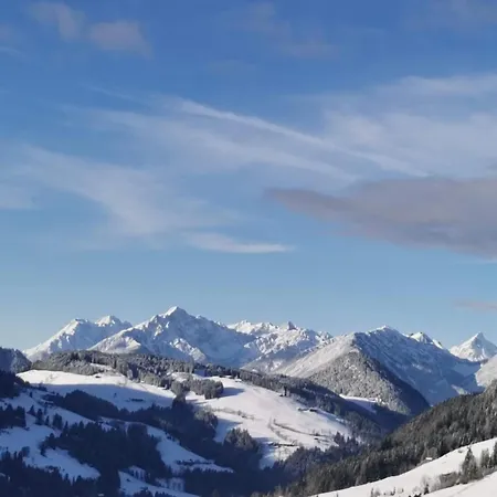 Appartement Alpbachblick Alpbach