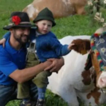 Alpbachblick Appartement *