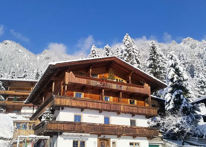 Alpbachblick Lejlighed *